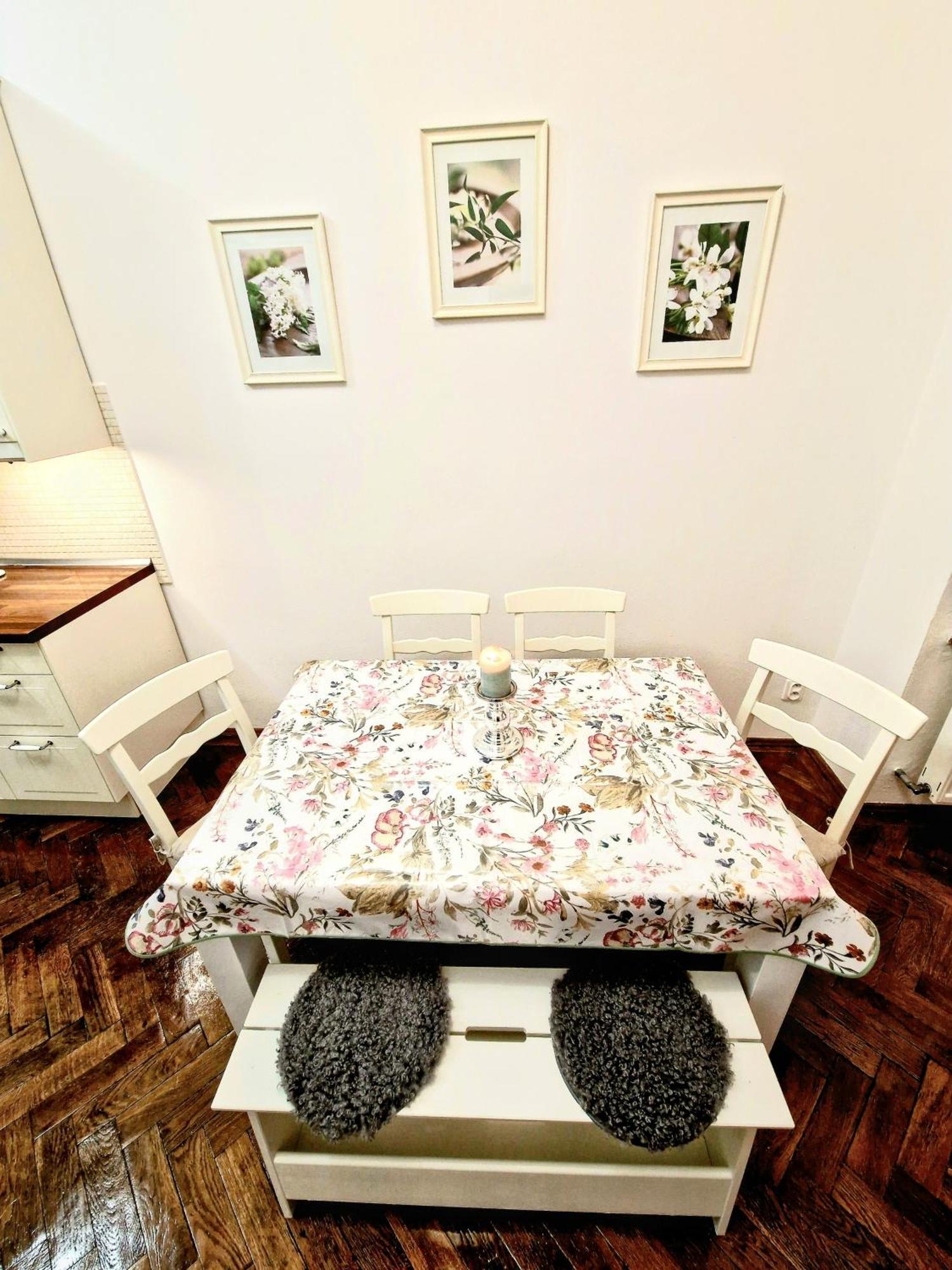 Marina Old Town Apartment Košice Eksteriør billede